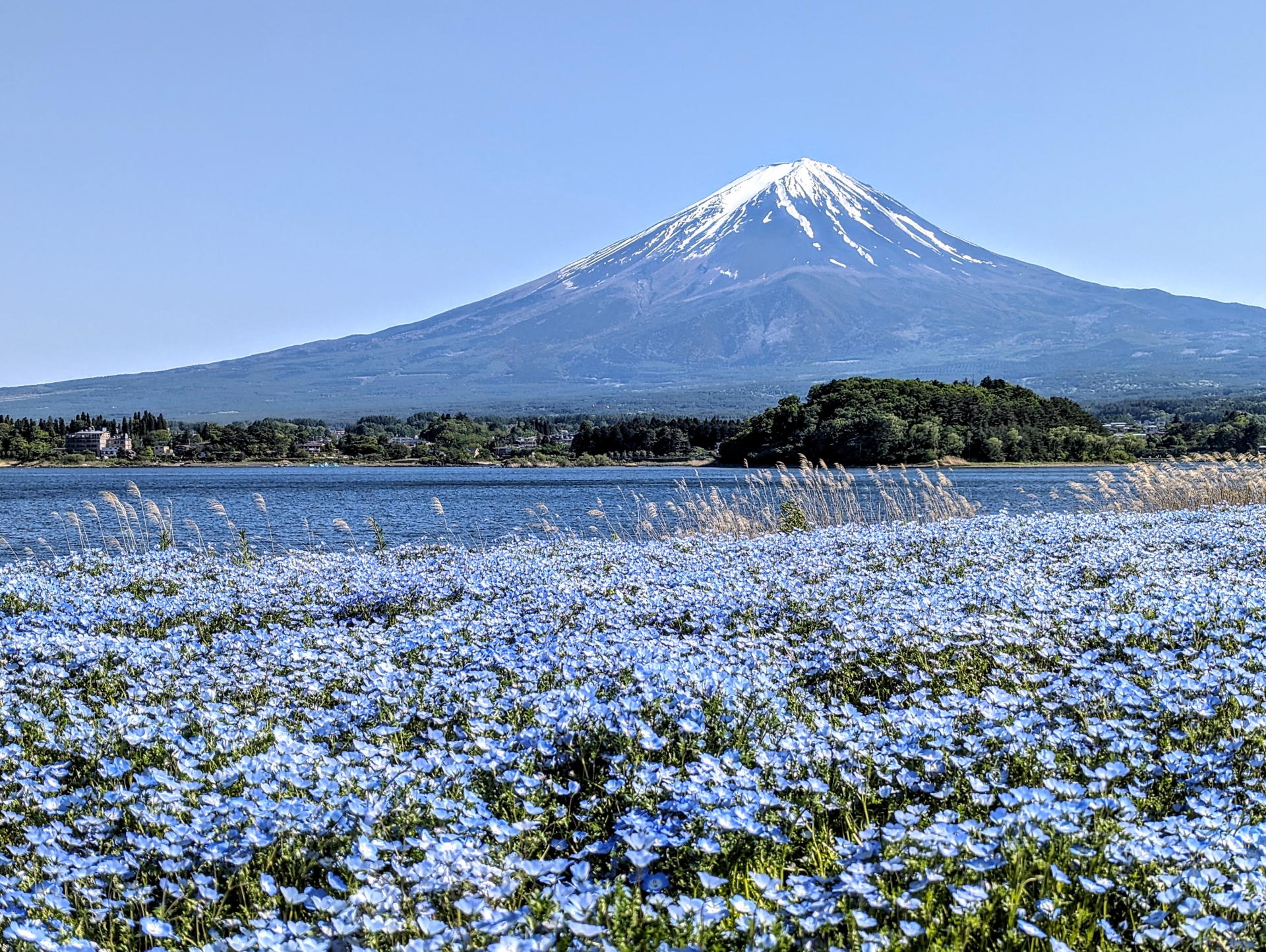 河口湖の民泊収益イメージ