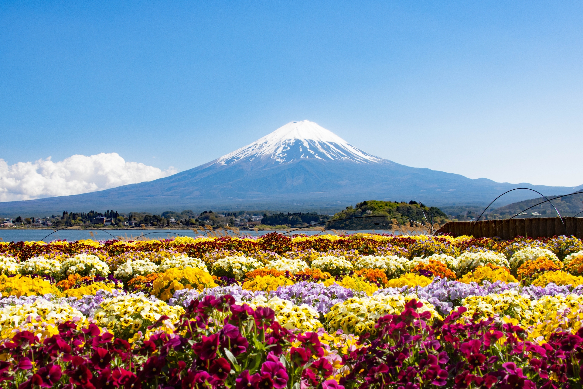 河口湖の美しい風景と富士山
