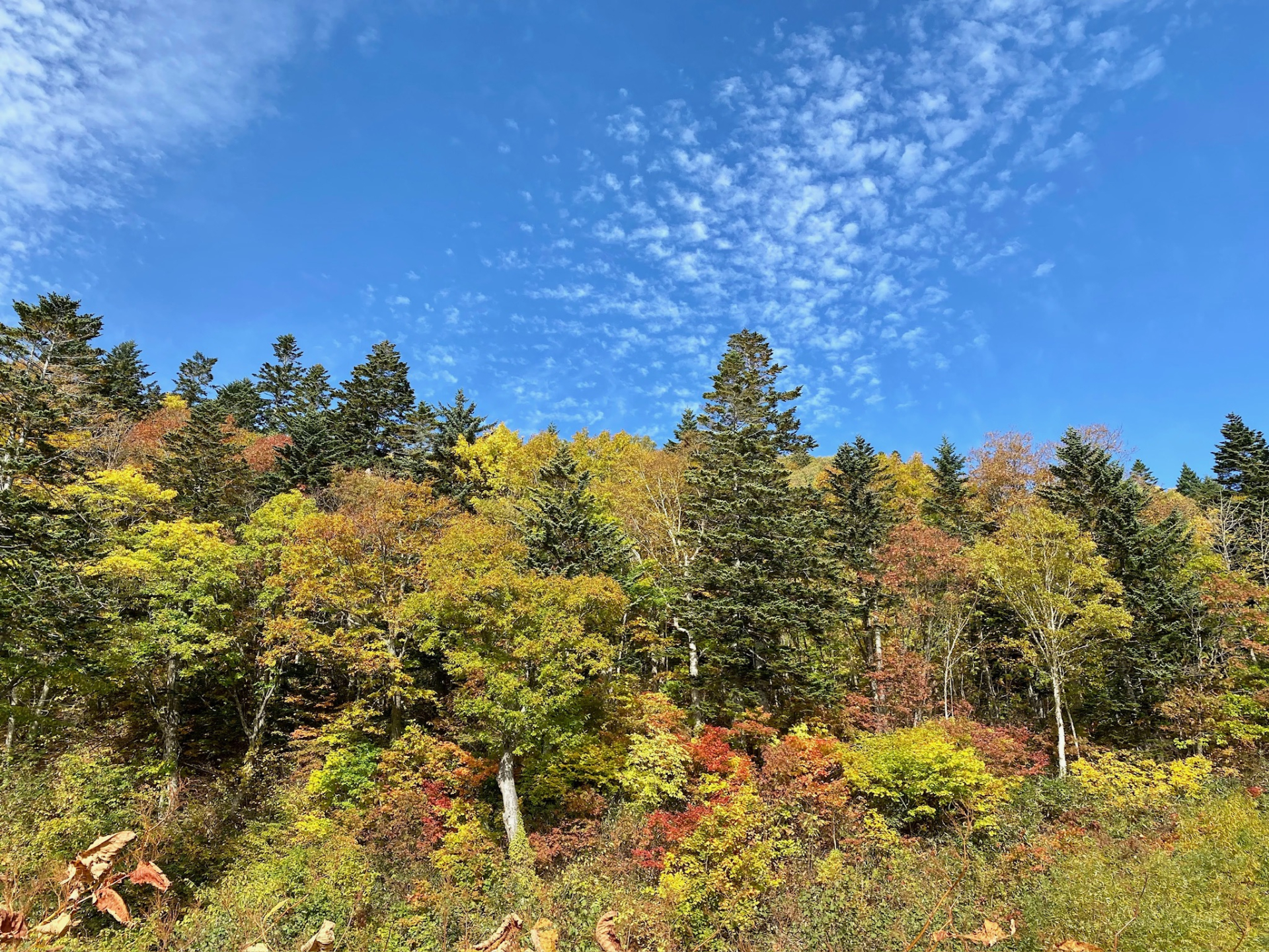 定山渓の温泉街と紅葉の風景